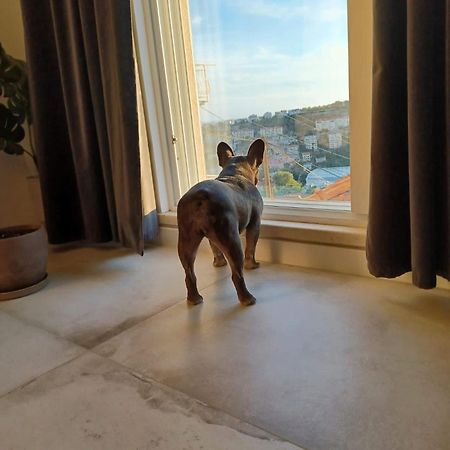 Apartment Eni Dubrovnik Dış mekan fotoğraf