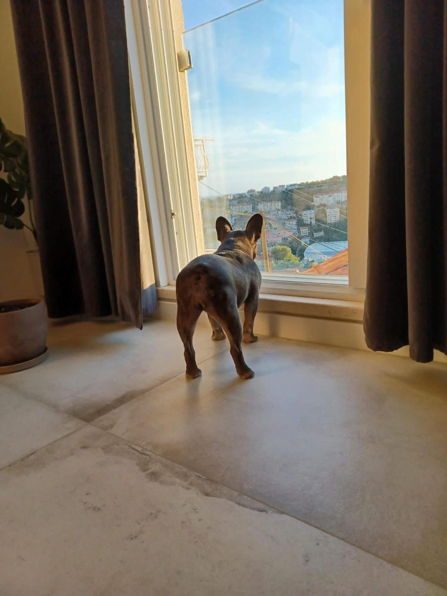 Apartment Eni Dubrovnik Dış mekan fotoğraf